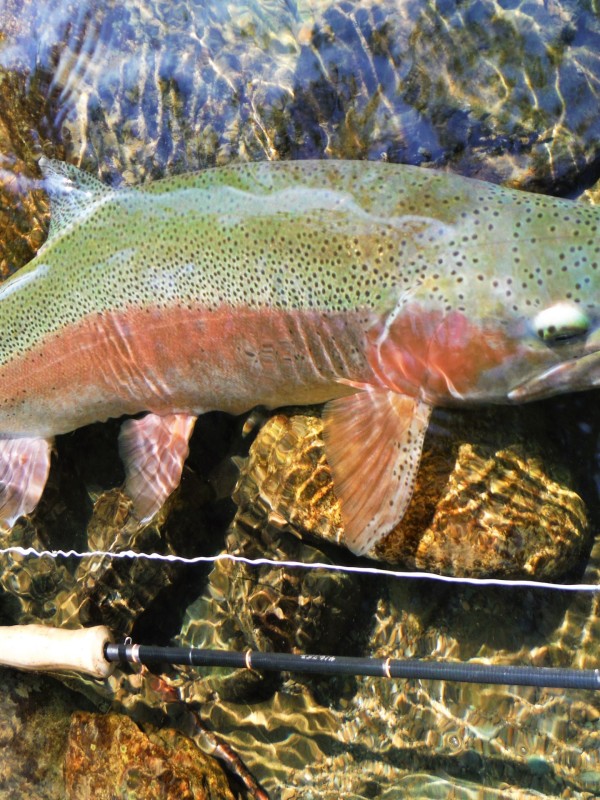 Photo／Mountainstream51