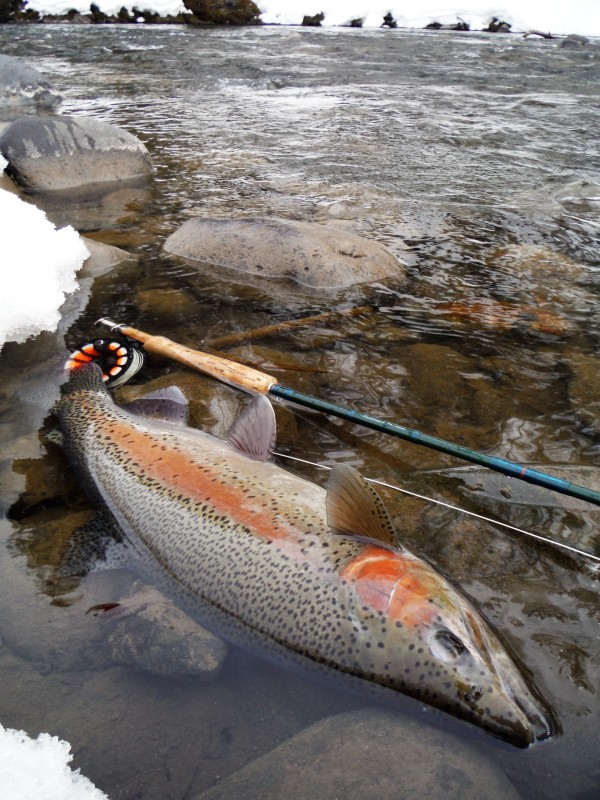 Photo／Mountainstream53