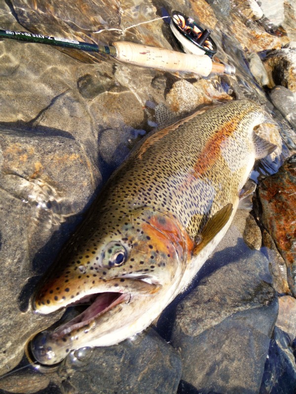 Photo／Mountainstream54