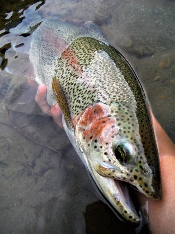 Photo／Mountainstream55