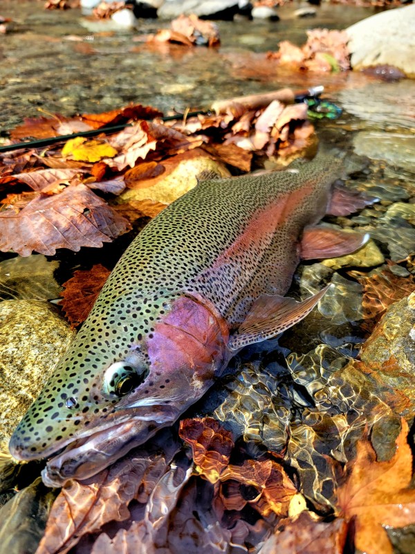 Photo／Mountainstream56