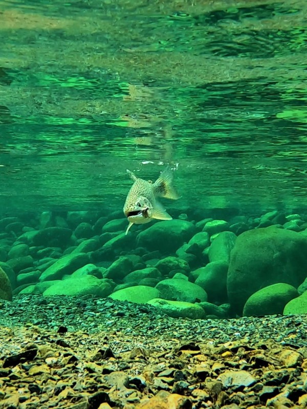 Photo／Mountainstream57