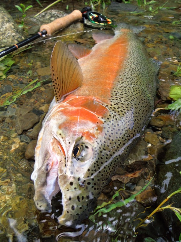 Photo／Mountainstream58