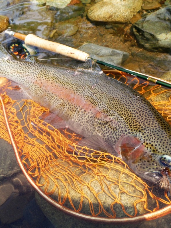 Photo／Mountainstream59