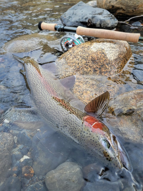 Photo／Mountainstream60