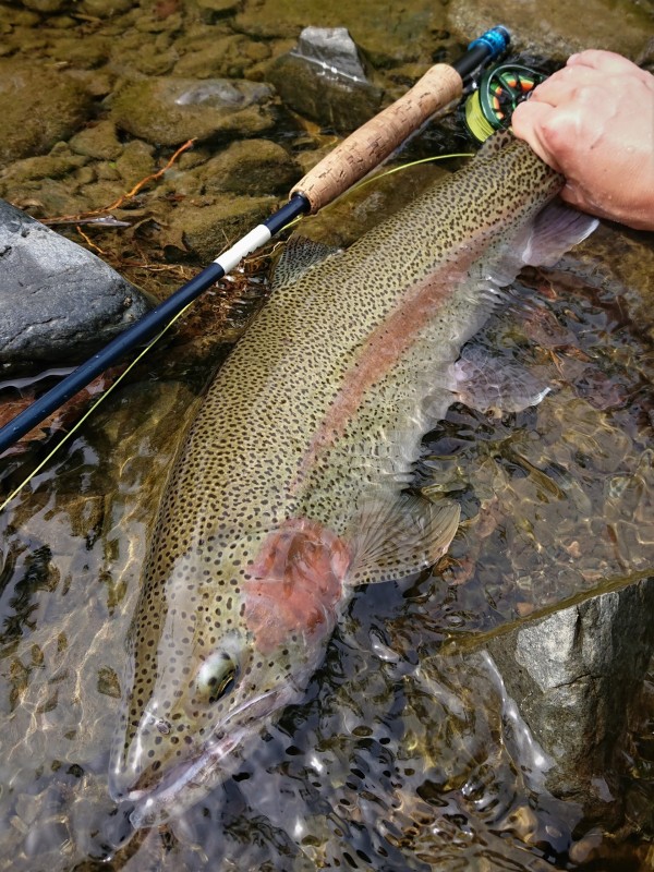 Photo／Mountainstream61