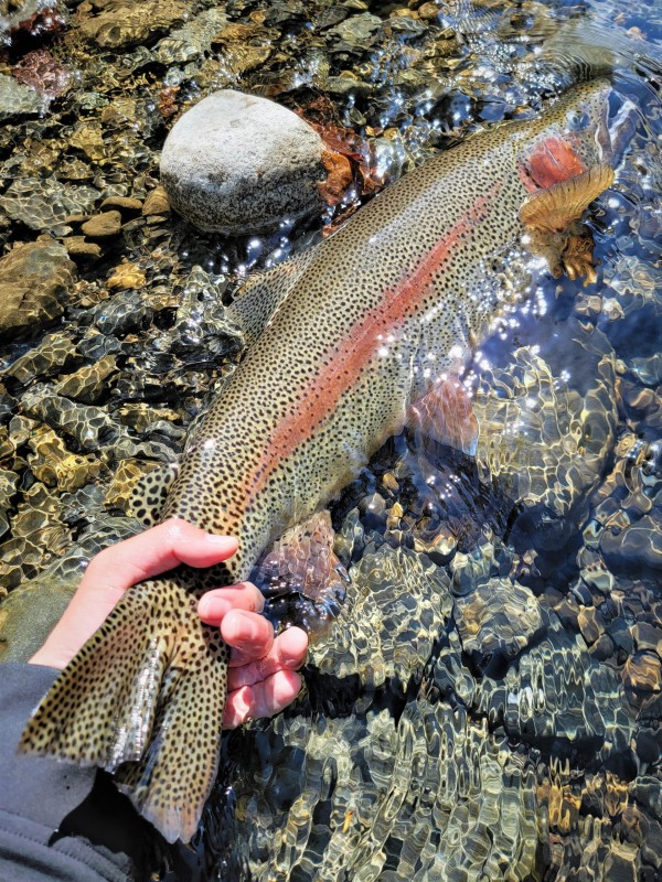 Photo／Mountainstream62