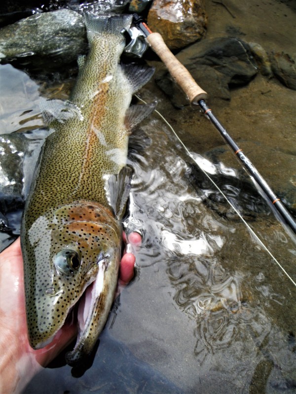 Photo／Mountainstream63