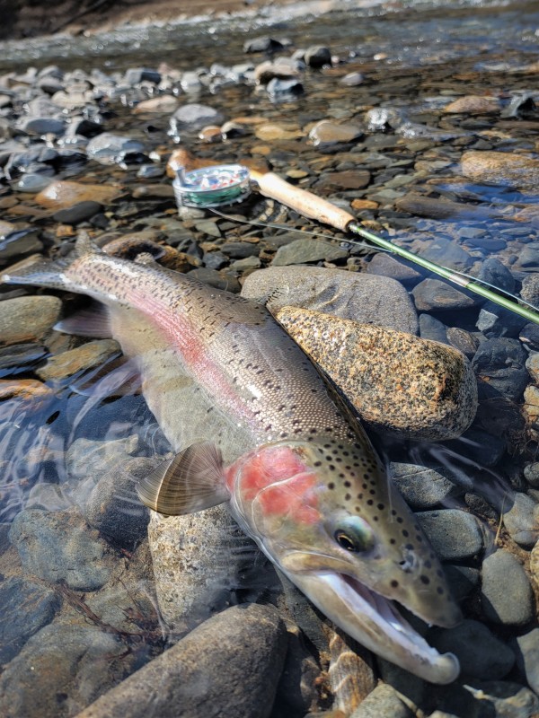 Photo／Mountainstream64