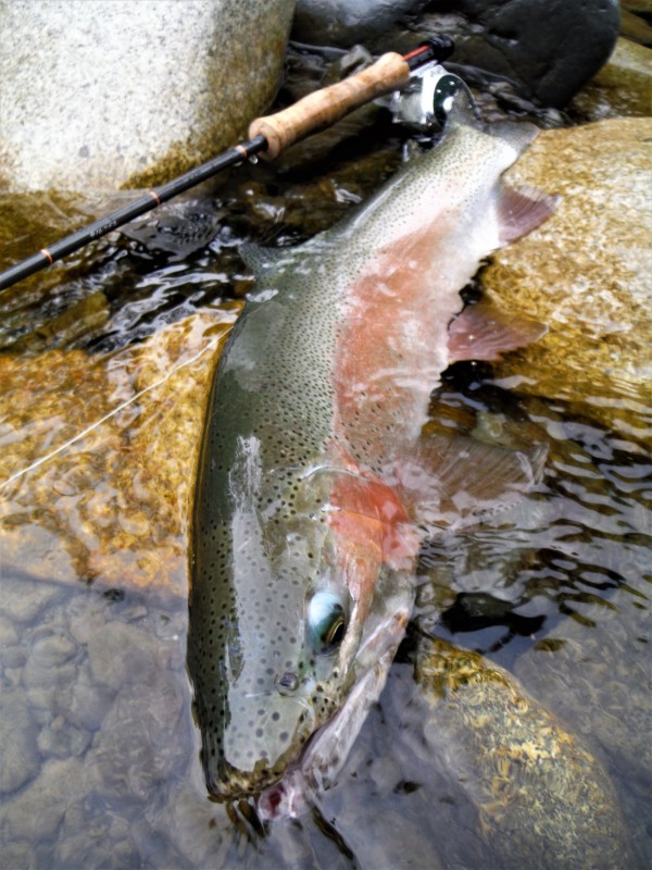 Photo／Mountainstream65