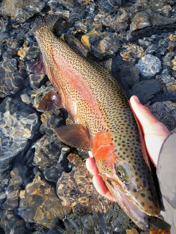 Photo／Mountainstream66