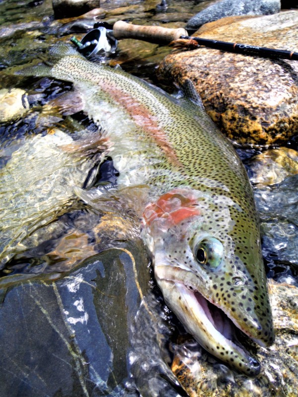 Photo／Mountainstream67