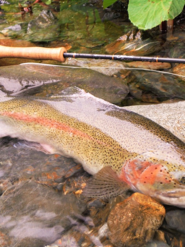 Photo／Mountainstream68