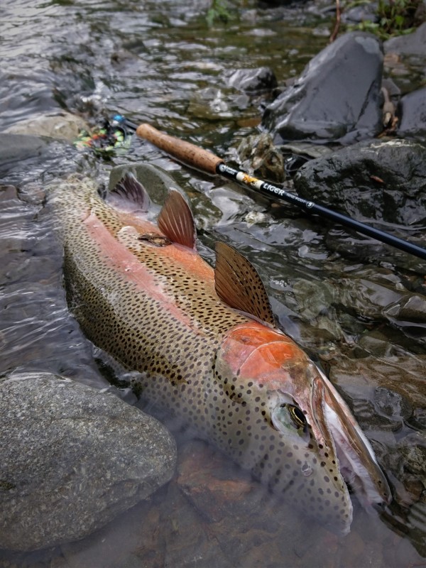 Photo／Mountainstream69