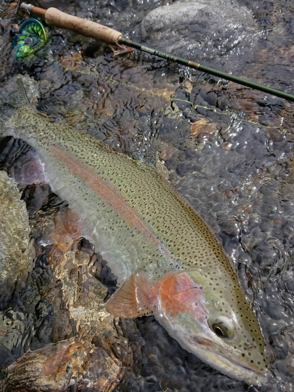 Photo／Mountainstream71