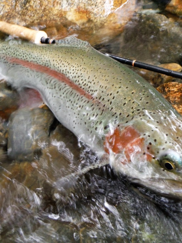 Photo／Mountainstream72