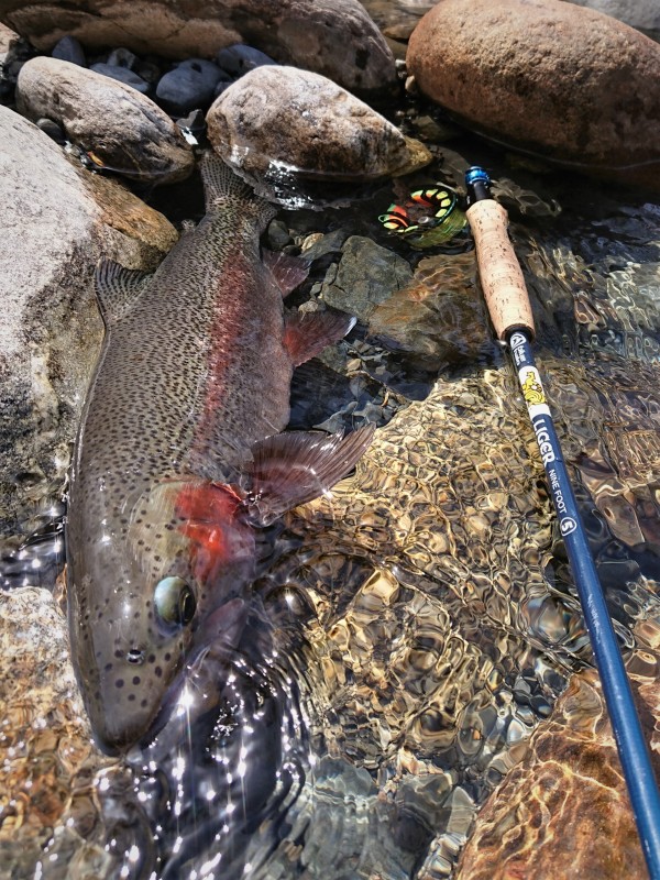 Photo／Mountainstream73