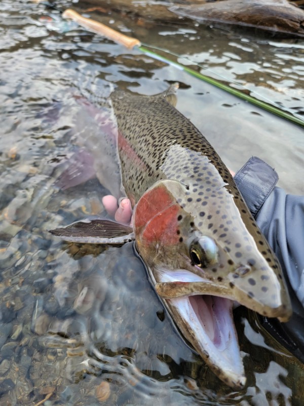 Photo／Mountainstream74