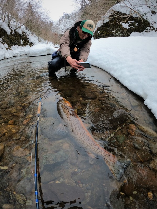 Photo／Browntrout40