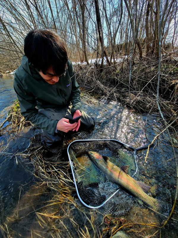 2023 Guided Trout Fishing - Vol.3