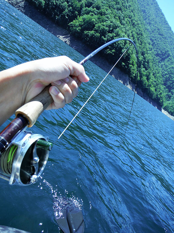 6. Float Tube Fishing